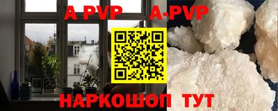 прущие грибы Обнинск