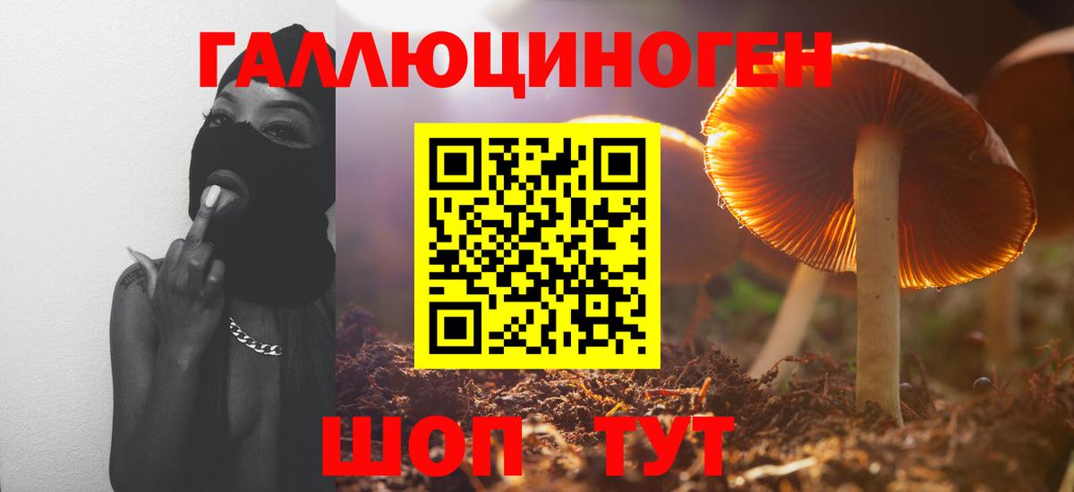 Галлюциногенные грибы Magic Shrooms  Вход с VPN  Прокопьевск 