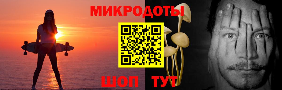 Псилоцибиновые грибы Cubensis Прокопьевск