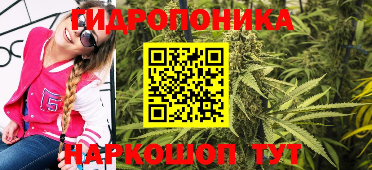 Бошки марихуана LSD WEED Прокопьевск